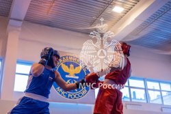 В Академии прошел открытый чемпионат вуза по боксу