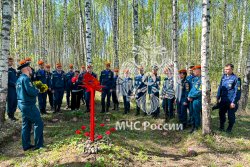  Поисковики Академии подняли останки 29 бойцов Красной армии