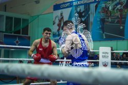 В Санкт-Петербурге стартовали Всероссийские соревнования «Кубок образовательных организаций высшего образования МЧС России по боксу»