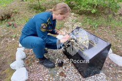 22 июня - День памяти и скорби