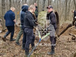 Поисковый отряд продолжает активно заниматься проектом «Московские рубежи»